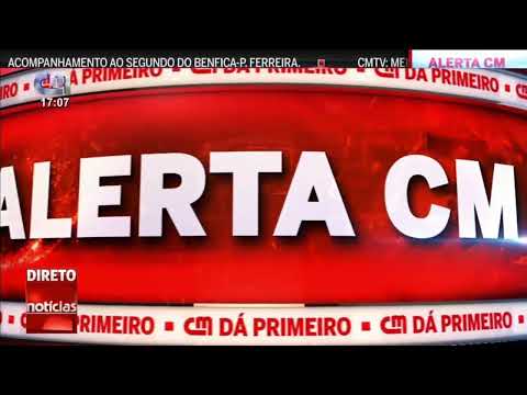 Um dia normal de meia dúzia de macacos