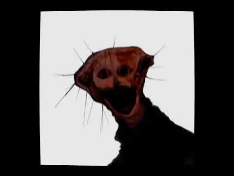 The Risk of Rain 2 Phenomenon